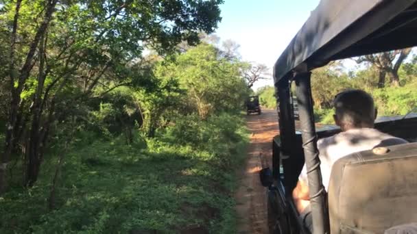 Yala, Sri Lanka, 30 november 2019, turister i jeepar som väntar på djur — Stockvideo