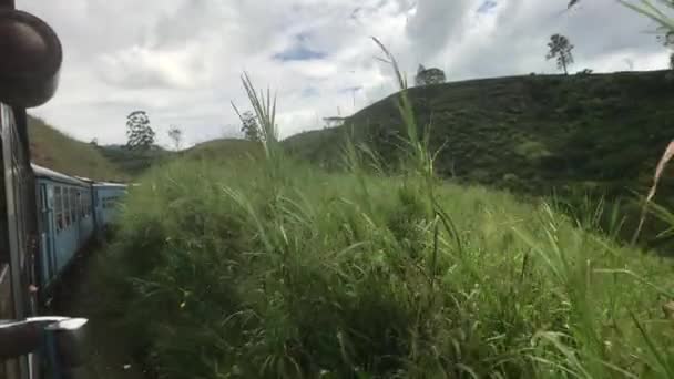 Ella, Sri Lanka, semak-semak dekat dengan kereta — Stok Video