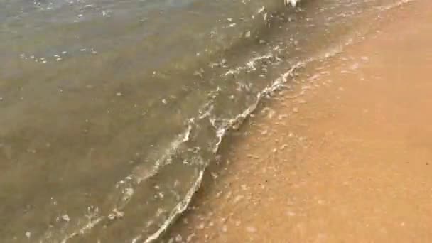 Negombo, Sri Lanka, tide on the Indian Ocean — Stock Video