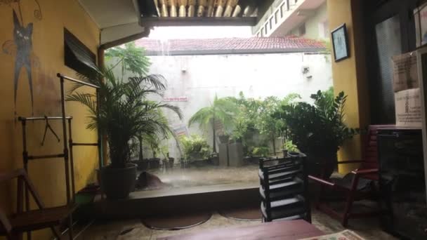 Negombo, Sri Lanka, heavy downpour in the yard — 비디오