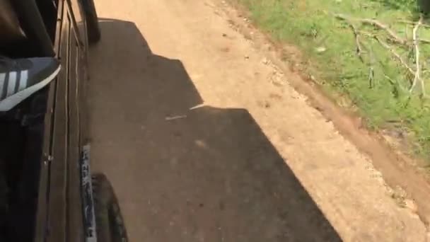 Yala, Sri Lanka, tráfico de coches en la carretera — Vídeo de stock