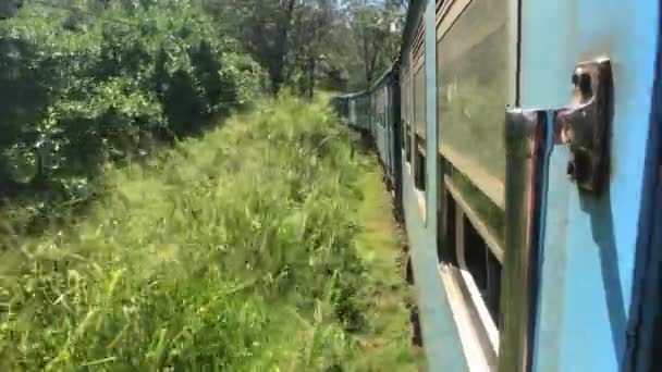 斯里兰卡艾拉，火车沿着灌木丛行驶 — 图库视频影像