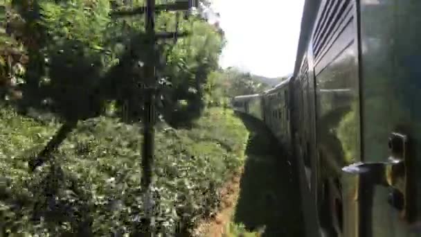 エラ、スリランカ、速度で列車 — ストック動画