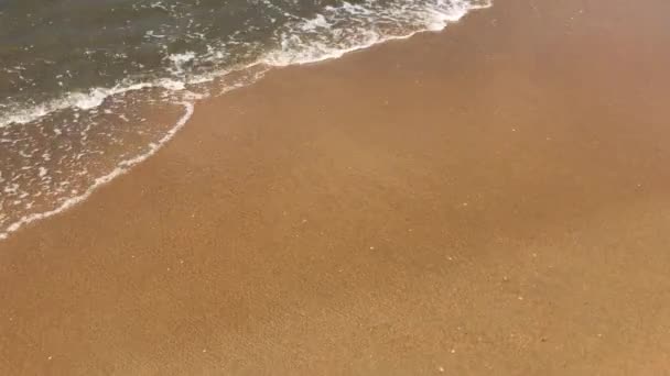 Negombo, Sri Lanka, petites vagues de l'océan Indien 