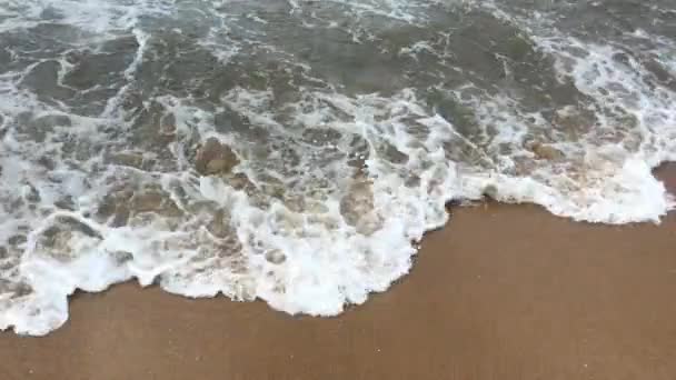 Negombo, Sri Lanka, ondas costeiras e caranguejo — Vídeo de Stock