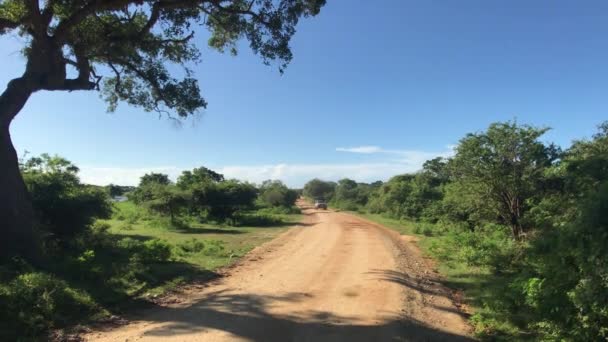 Yala, Sri Lanka, estrada e horizonte com nuvens — Vídeo de Stock