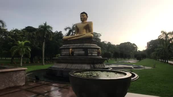 Colombo, Srí Lanka, 20. listopadu 2019, 7 F. R. Senanayake Mawatha, Viharamahadevi Park, pohled na Buddhu a pohár v dešti — Stock video