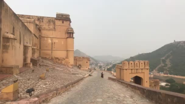 Jaipur, India, 05 november 2019, Amer Fort, toeristen kijken van bovenaf naar de horizon — Stockvideo