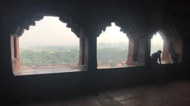 アグラ,インド, 2019年11月10日,アグラ砦,観光客が窓の上に座って話をする — ストック動画