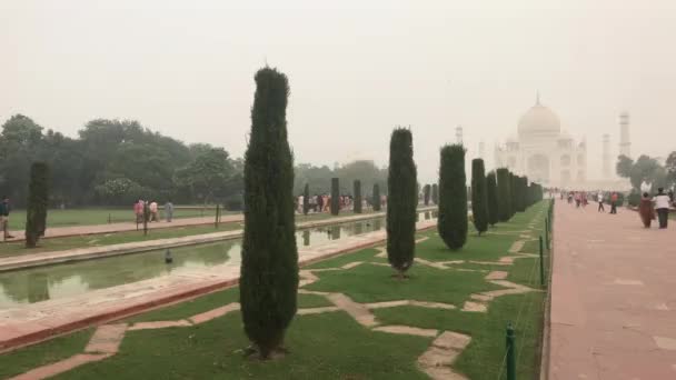 Agra, India, November 10, 2019, Taj Mahal, beautiful patterns on the grass — Stock Video