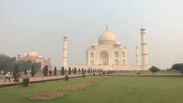 Agra, Ινδία, 10 Νοεμβρίου 2019, Taj Mahal, τζαμί στο πλαίσιο ενός πράσινου γκαζόν με τουρίστες — Αρχείο Βίντεο
