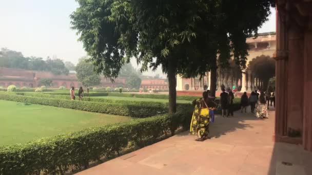 Agra, India, November 10, 2019, Agra Fort, tourists stand in the shade of trees — 图库视频影像