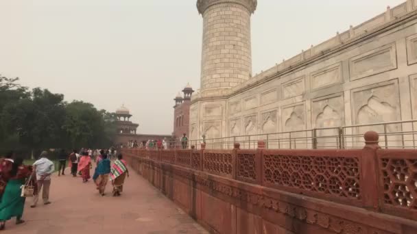 Agra, Ινδία, 10 Νοεμβρίου 2019, Taj Mahal, οι τουρίστες ανεβαίνουν για να επιθεωρήσουν το τζαμί — Αρχείο Βίντεο