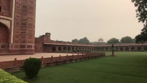 Agra, India, 10 november 2019, Taj Mahal, groen veld op het moskee terrein — Stockvideo