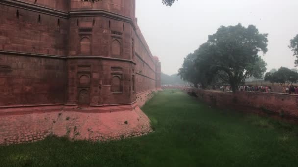 Nova Deli, Índia, 11 de novembro de 2019, pássaros voando ao longo da parede do forte vermelho — Vídeo de Stock