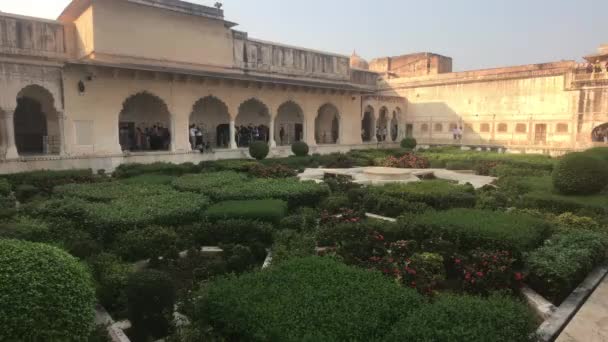 Jaipur, India, 2019. november 05., Amer Fort turistái zöld bokrok árnyékában sétálnak át az épületen — Stock videók