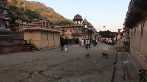 Jaipur, India, November 04, 2019 Galta Ji, οι τουρίστες βλέπουν τα αξιοθέατα της παλιάς πόλης μέρος 2 — Αρχείο Βίντεο