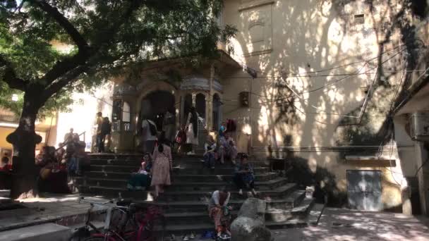 Jaipur, India - November 03, 2019: Pilgrims sit under a tree part 3 — 비디오