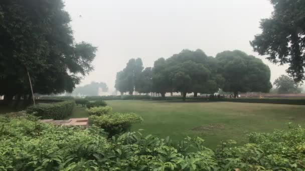 New Delhi, India, November 11, 2019, beautiful trees against the backdrop of walking tourists — Stok video