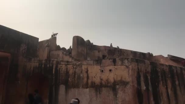 Jaipur, indien - 03. November 2019: jaigarh fort Touristen klettern in die alte Festung — Stockvideo