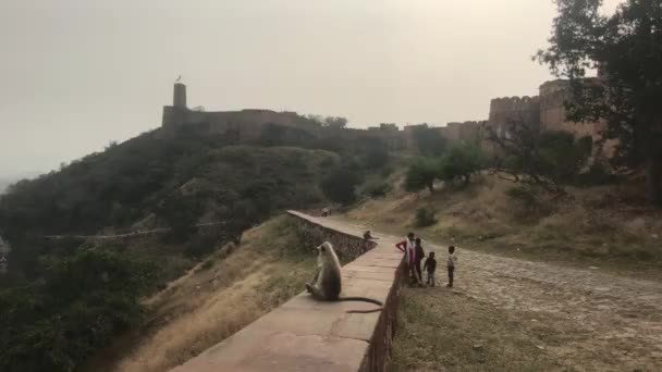 Jaipur, Indie - listopad 03, 2019: Pevnostní zeď Jaigarh s turisty část 3 — Stock video