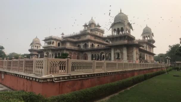 Jaipur, India - November 03, 2019: Birds fly through the ancient museum — Stock Video