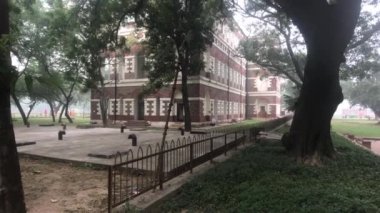 Yeni Delhi, Hindistan, 11 Kasım 2019, müze kompleksinin arka planındaki ağaç.