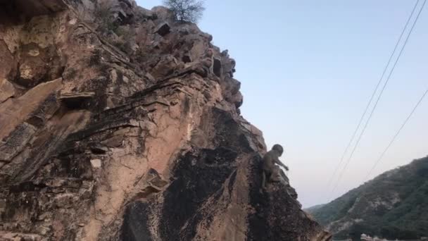 Jaipur, India, 04 november 2019 Galta Ji, apen springen op steile kliffen — Stockvideo