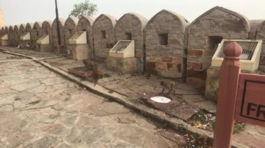 Jaipur, Hindistan - 17. yüksek dağdaki savunma yapıları