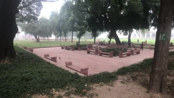 New Delhi, India, November 11, 2019, tourists walk on the site with chipmunks — ストック動画