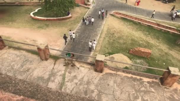 Джайпур, Индия - 03 ноября 2019 года: Джайгарх Форт туристы ходить во дворе старой крепости часть 2 — стоковое видео