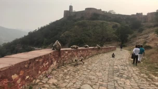 Jaipur, India - November 03, 2019: Jaigarh Fort tourists walk along the walls of the old fortress on top of the mountain part 10 — 비디오