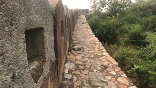 Jaipur, India - defensive structures on a high mountain part 14 — 图库视频影像