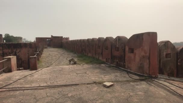 Jaipur, India - long fortified wall in the old fortress part 16 — Stockvideo