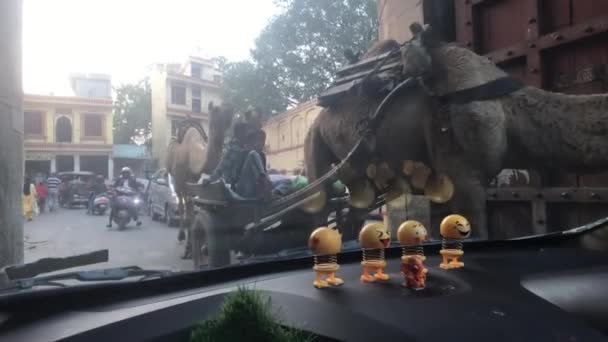 Джайпур, Индия - 03 ноября 2019 года: движение мотоциклов вдоль дороги с туристами часть 7 — стоковое видео