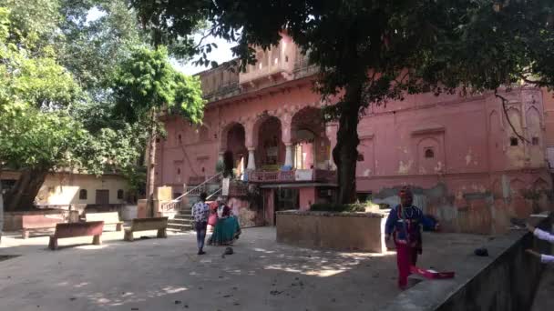 Jaipur, India - 04 november 2019: Hawa Mahal toeristen doen fotosessie bij een boom — Stockvideo