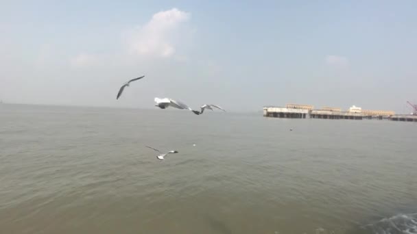 Bombaj, Indie - pohled na lodě v Arabském moři část 22 — Stock video