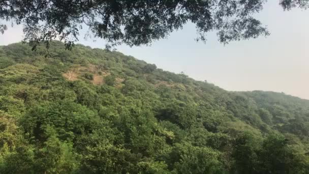 Bombaj, Indie - pohled na hory s lesy — Stock video