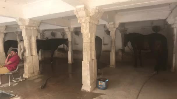 Udaipur, India - November 13, 2019: City Palace tourists explore the sights part 3 — Stockvideo