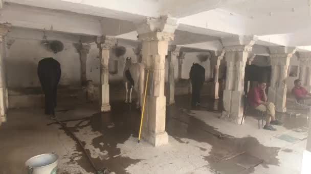 Udaipur, India - 13 de noviembre de 2019: Los turistas del Palacio de la Ciudad exploran los lugares de interés parte 14 — Vídeo de stock