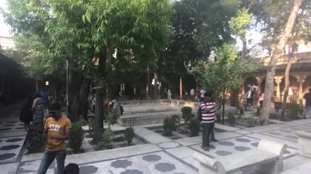 2019年11月13日，印度乌代普尔：城市宫的游客站在树阴下 — 图库视频影像