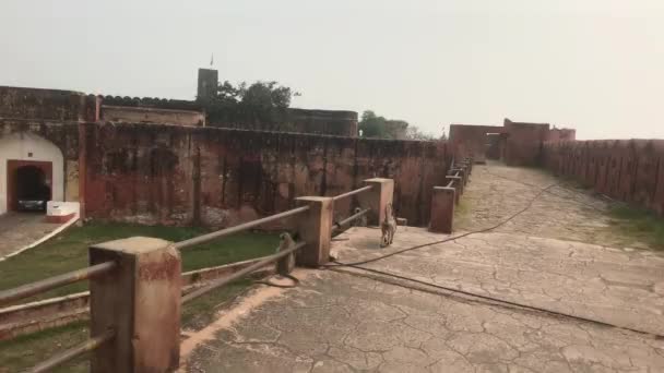 Jaipur, Índia - parede fortificada longa na parte velha da fortaleza 18 — Vídeo de Stock