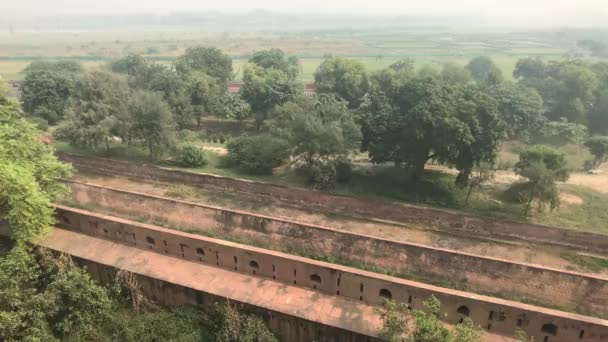 Agra, Indie - Fort Agra, drzewa w pobliżu murów starego fortu na horyzoncie — Wideo stockowe