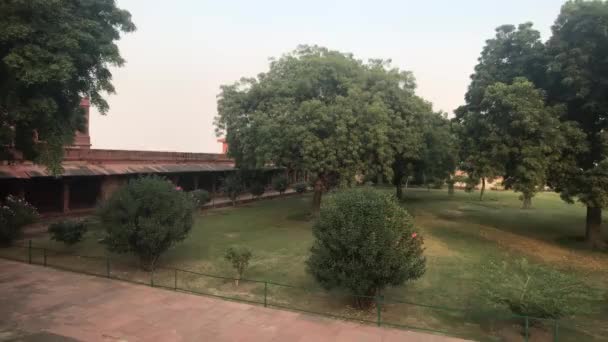 Fatehpur Sikri, India - restos de vegetación en la jungla de piedra — Vídeo de stock