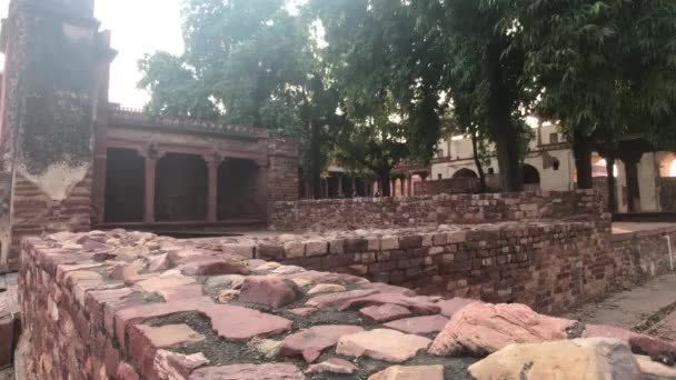 Fatehpur Sikri, Ινδία - απομεινάρια πράσινου στο πέτρινο μέρος της ζούγκλας 3 — Αρχείο Βίντεο