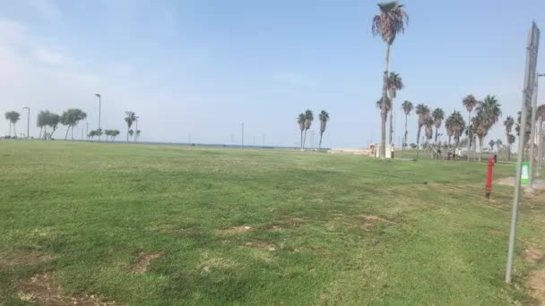 Tel aviv, israel - 22. Oktober 2019: Touristen spazieren durch die Stadt am Meer Teil 9 — Stockvideo