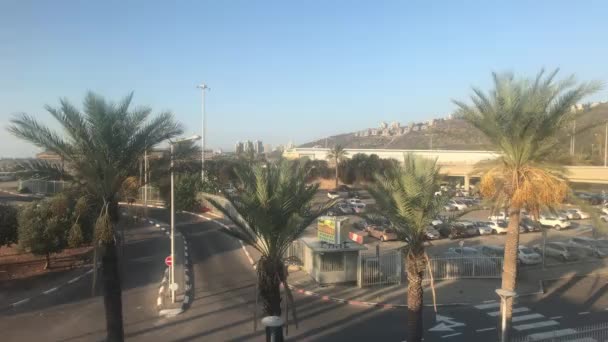 Haifa, Israel - palm trees against the backdrop of mountains — Stock Video