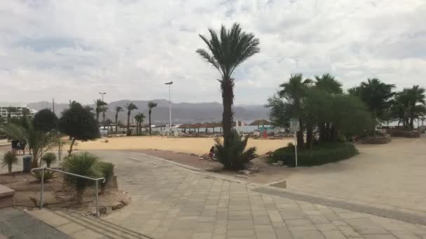 Eilat, İsrail - Sahilde palmiye ağaçları — Stok video