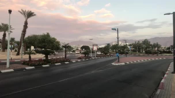 Eilat, İsrail - palmiye ağaçları akşam günbatımının arka planında Bölüm 2 — Stok video