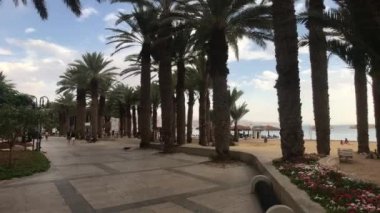 Eilat, İsrail - Palmiye ağaçlı park alanı bölüm 2